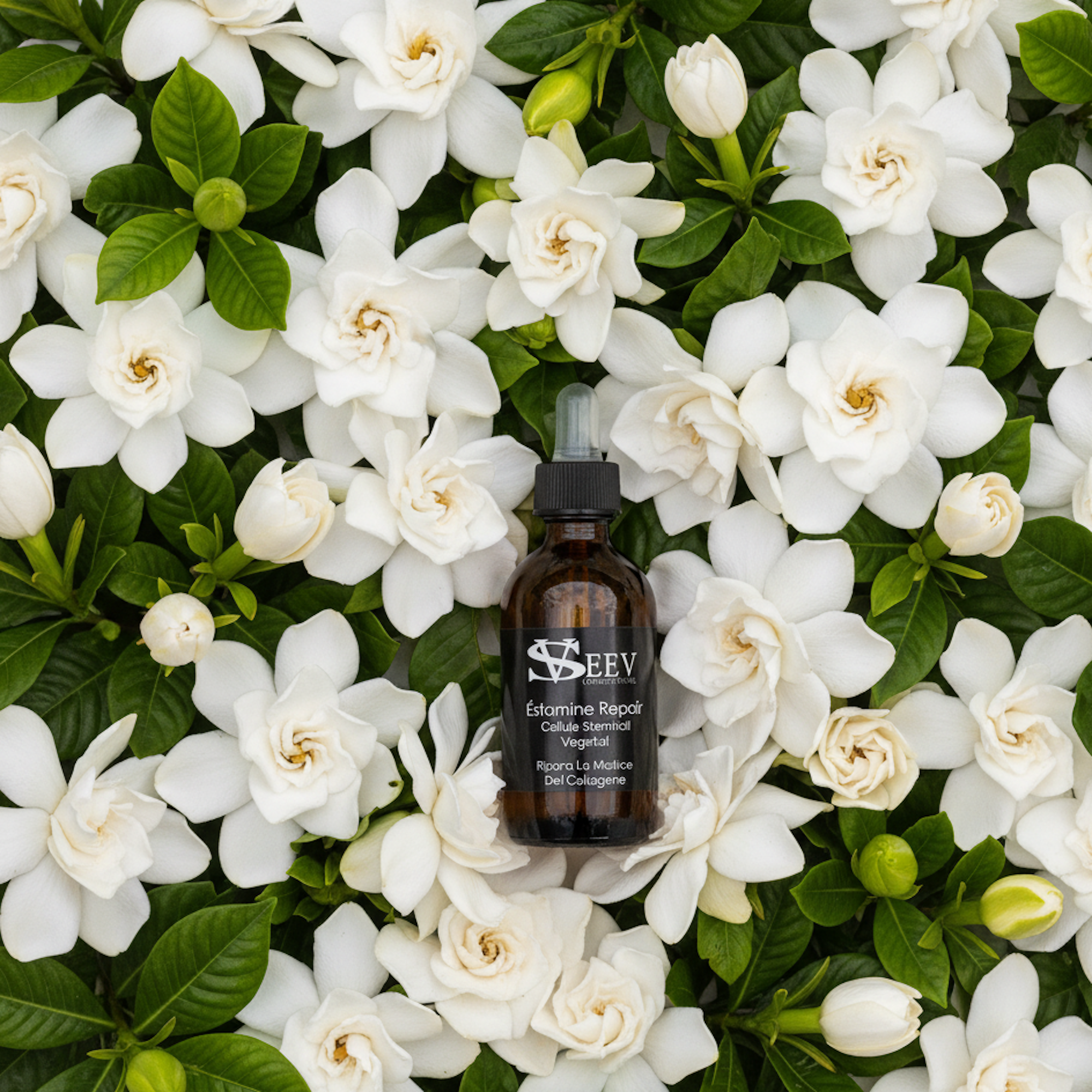 Èstamine Repair Serum